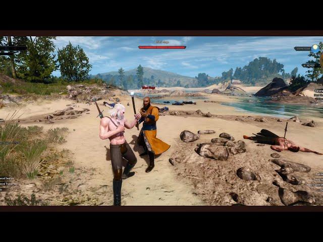 witcher 3 blood and wine gameplay 4k HDR