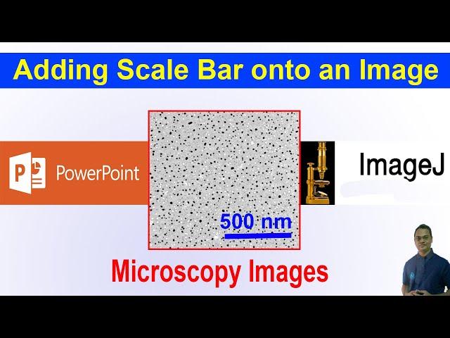 Adding a Scale Bar onto a Microscopy Image using PowerPoint/ImageJ | Drawing/Graphing-09