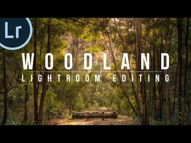 How I edit Woodland Images in Lightroom | Landscape Photography Post-Processing