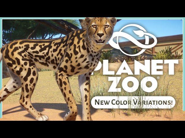 Four New Color Variants! | Planet Zoo Free Update 1.12