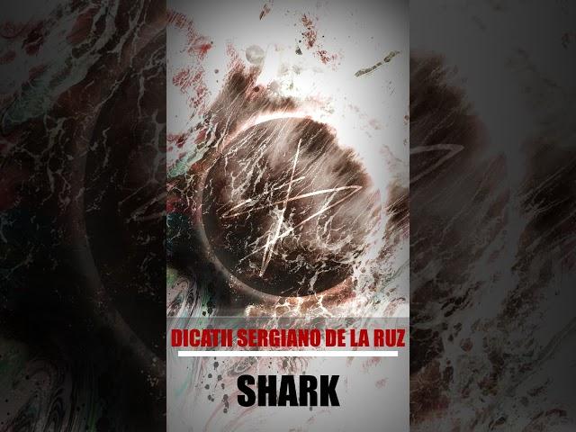 Shark │Dicatii & Sergiano De La Ruz #shorts #music #Dicatii #Sergiano De La Ruz