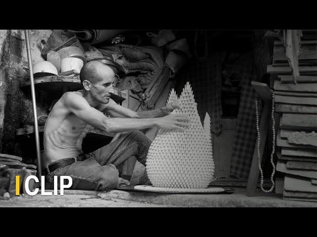 Cisne Cuello Negro, Cuello Blanco | CLIP | Marcel Beltrán