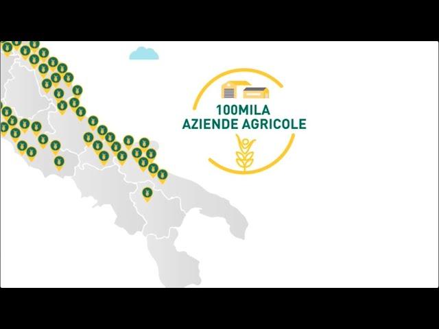 Consorzi Agrari d'Italia - L'hub strategico dell'agricoltura italiana