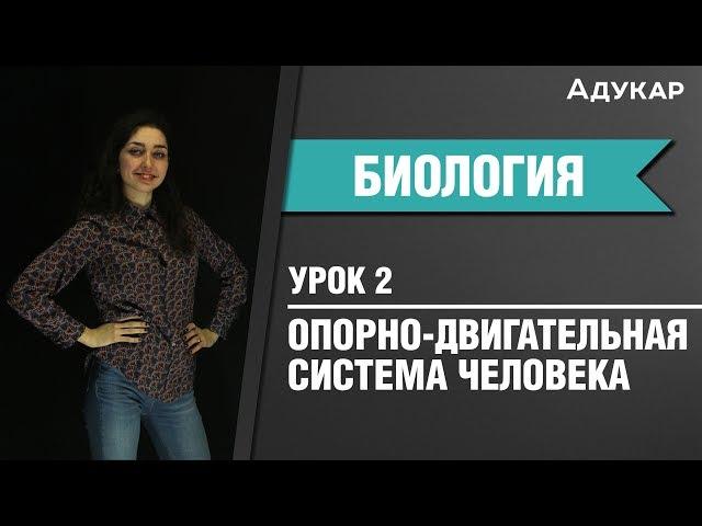 Опорно-двигательная система человека | Биология ЕГЭ, ЦТ