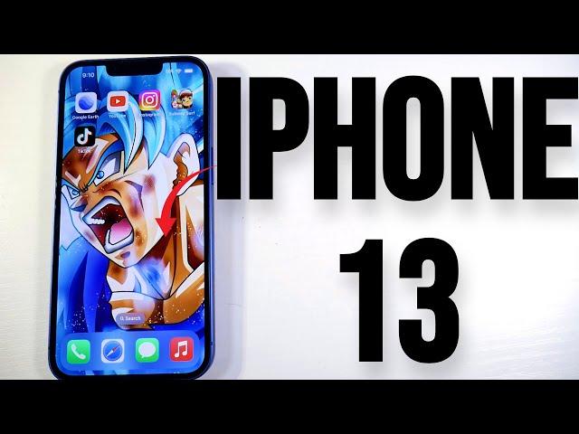 iPhone 13 In Mid 2024! The Best Budget iPhone You Can Buy In 2024! (Now $339)