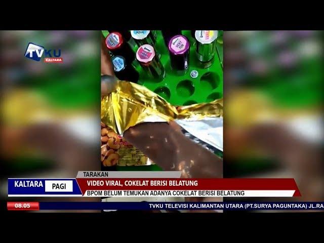 VIDEO VIRAL, COKELAT BERISI BELATUNG