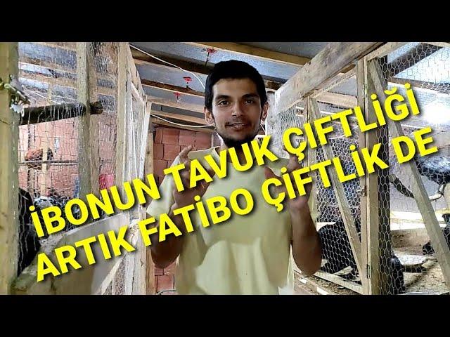 İBONUN TAVUK ÇİFTLİĞİ KAPANIYOR!!