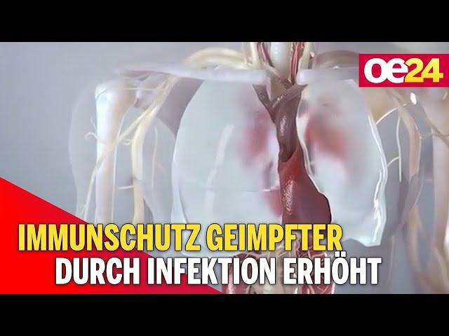 Immunschutz Geimpfter durch Infektion deutlich erhöht