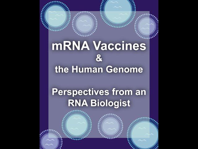 Do Covid Vaccines Change Your DNA?