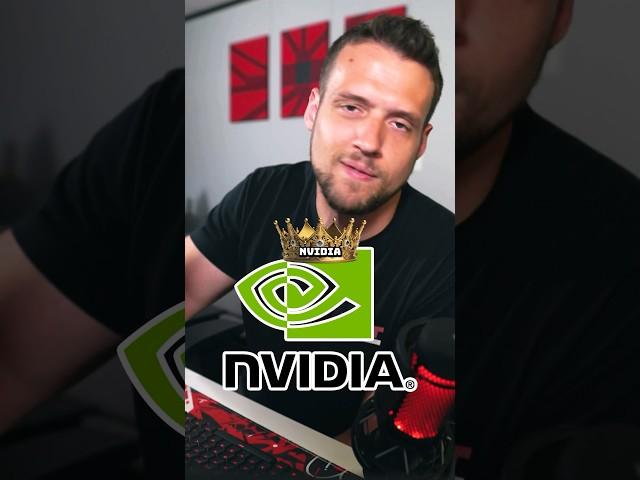 Budget GPUs - Nvidia vs AMD?