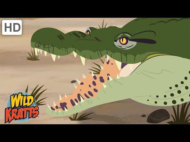 Crocodiles | Huge Reptiles of The Nile [Full Episodes] Wild Kratts