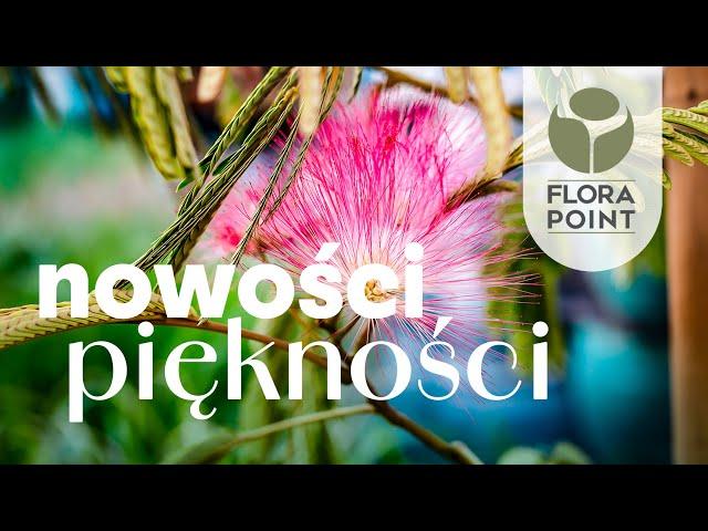 Zielone, kwitnące, domowe i zewnętrzne | przegląd nowości | Flora Point