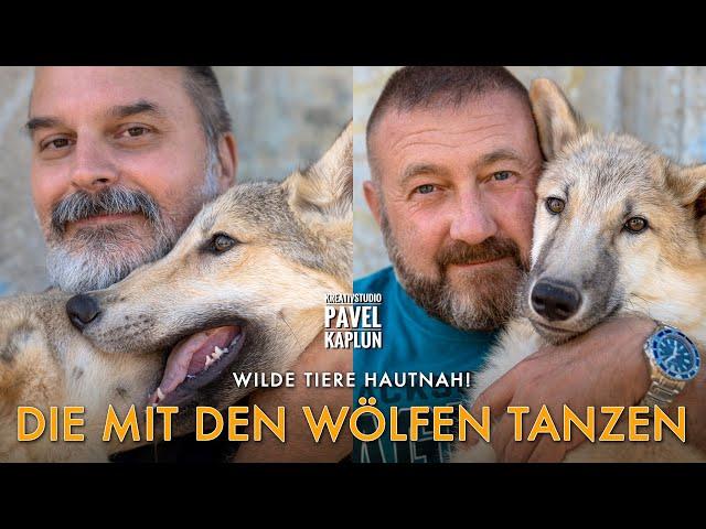 Wilde Tiere hautnah! Die mit den Wölfen tanzen