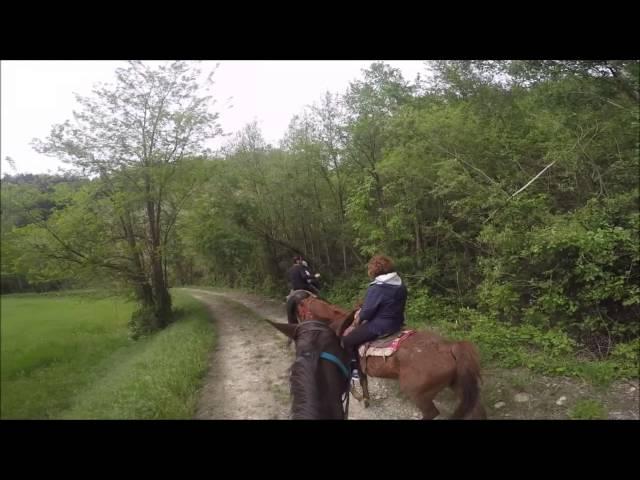 Passeggiata a cavallo "into the wild" per le colline Ravennate