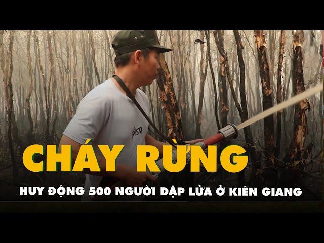 Cháy rừng tràm ở Kiên Giang, huy động 500 người dập lửa