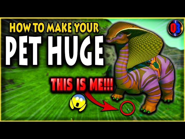 No Man's Sky Companions Pets UPDATE 3.2 How To Make Your Pet HUGE! | Pet Location