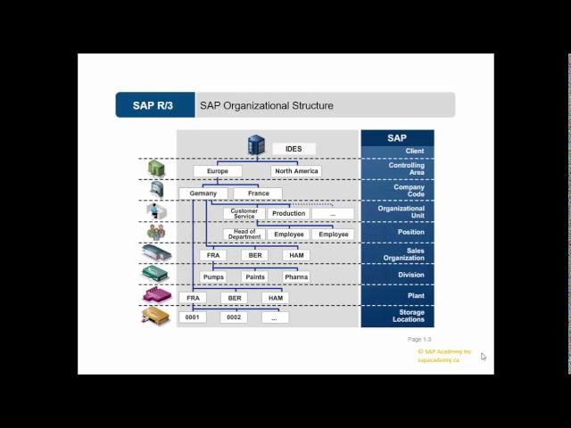 Video 5:  Organizational Structure in SAP