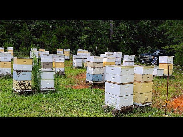 A New Beekeeping Business Model??