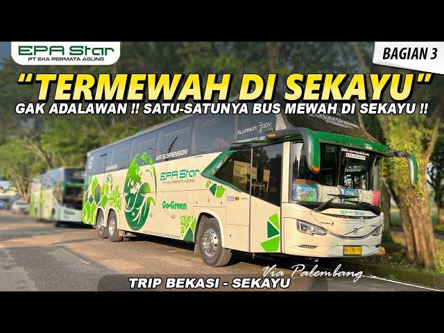 GAK ADA LAWANNYA ! SATU-SATUNYA BUS MEWAH DI SEKAYU I TRIP EPA STAR BEKASI - SEKAYU (3/3)