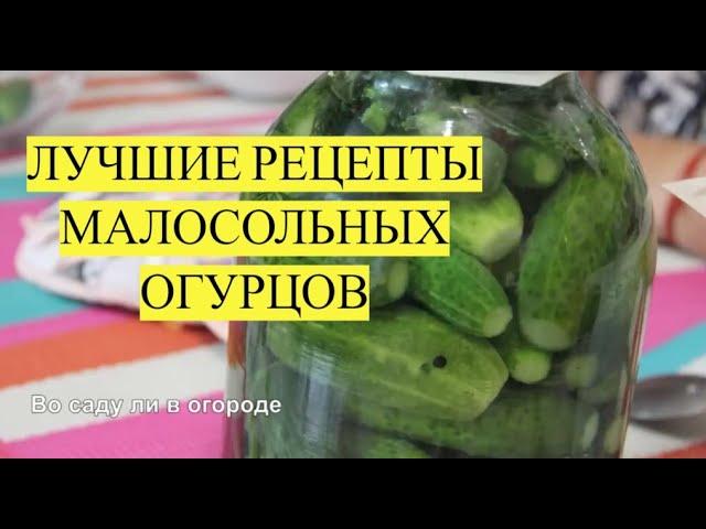 МАЛОСОЛЬНЫЕ ОГУРЦЫ. ЛУЧШИЕ РЕЦЕПТЫ. Так готовить огурцы должна уметь каждая хозяйка!