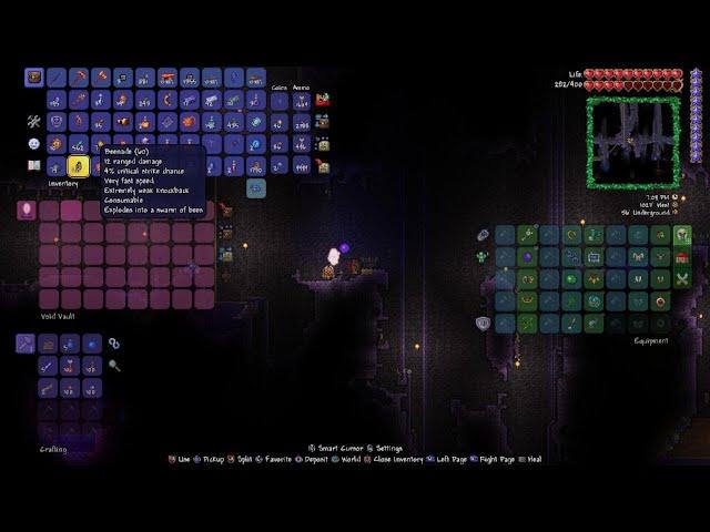 Getting the Void Bag | Terraria ep 34