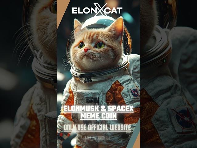 The Fun Side of Crypto Starts with ElonXCat  || ELONXMUSK & SPACEX MEME COIN ||