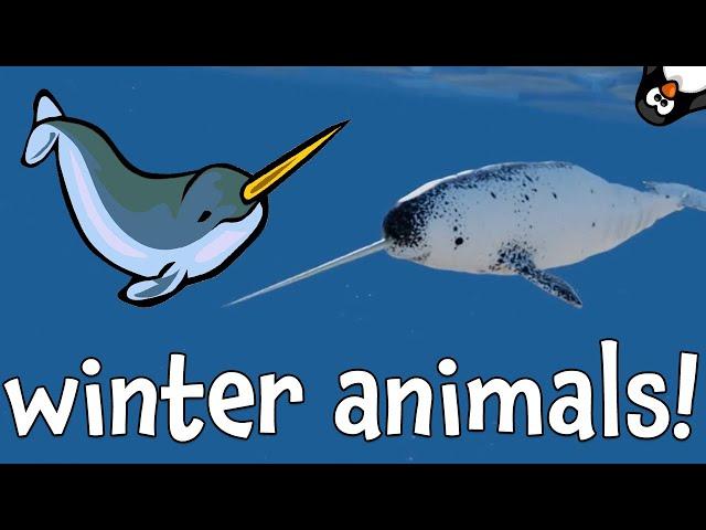 Winter Animal Sounds! Learning About Winter Animals for Kids