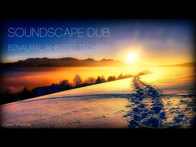 Liquid Fraction - Soundscape DuB - Ambient Techno Mixed with Binaural Effects - Nov 2020.