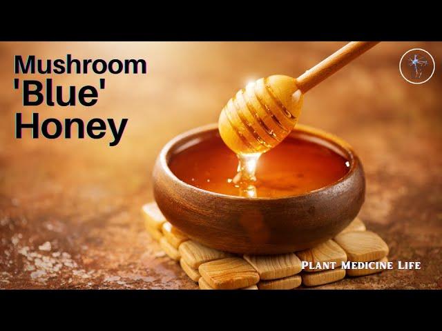 How to Make 'Blue' Mushroom Honey