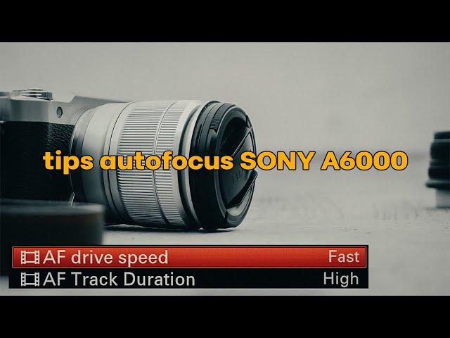 SONY A6000 | Setting atau Mode Auto Focus | AF Drive Speed & AF Track Duration | 2021