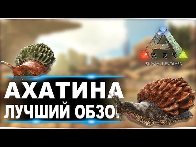 Ахатина (Achatina) в АРК. Лучший обзор: приручение и способности  улиток в ark