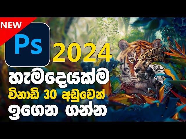 Learn NEW 2024 Adobe Photoshop in 30 min Sinhala Tutorial