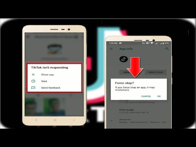 How to Fix Tik Tok Isn’t Responding Error in Android