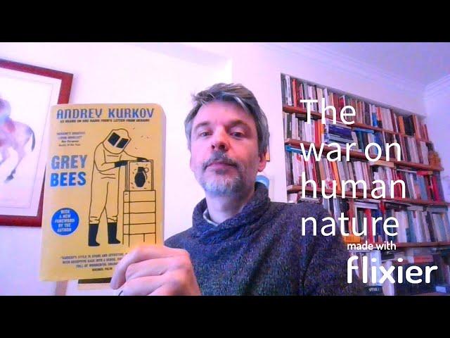 Grey Bees Andrey Kurkov book review