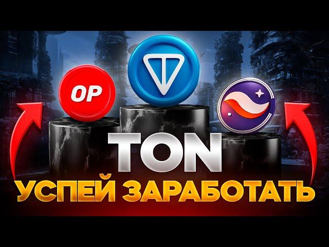 TON - Лучший Проект 2024? I Как заработать на Ton