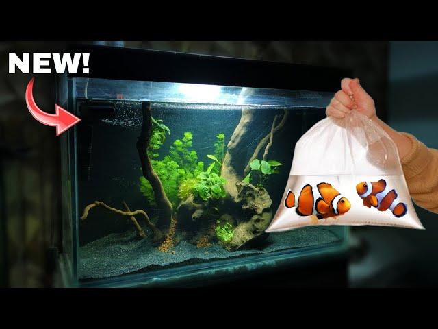 3 Feet Fish Tank Setup & Adding Fish! | Aquarium Decoration