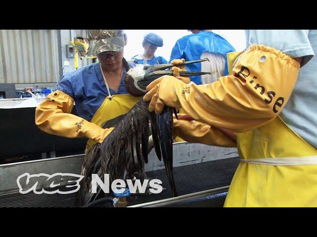 The Biggest Environmental Disaster in U.S. History Never Ended