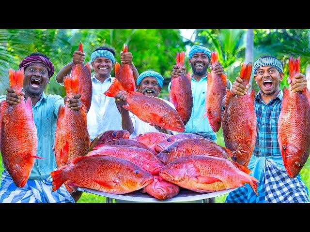 RED SNAPPER FISH | Big Fish Grill Recipe Cooking in Village | Fish Fry in Clay | Ancient Cooking