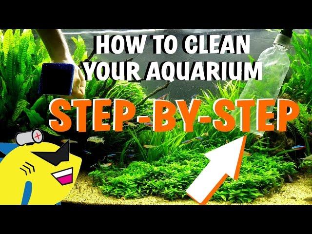 HOW TO CLEAN YOUR AQUARIUM - Planted Tank Water Change/Gravel/Substrate Cleaning