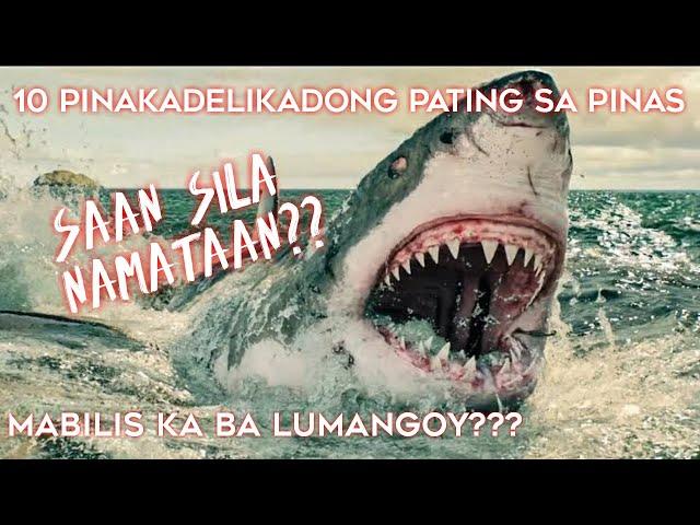 10 MAPANGANIB NA PATING NATIVE SA PINAS |Dangerous Shark in the Philippines TOP 10