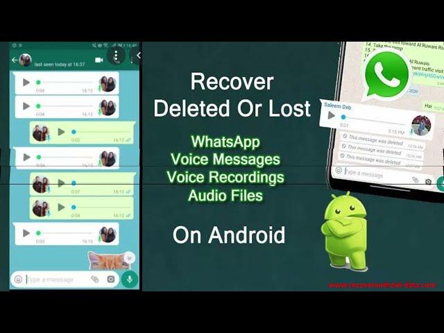 Retrieve Deleted Voice Recordings On WhatsApp