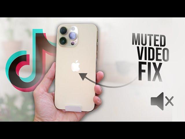 How to Fix Muted Video on TikTok (tutorial)