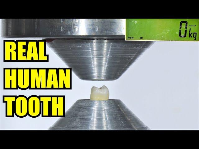 Best Dangerous and Strongest Hydraulic Press Moments Compilation