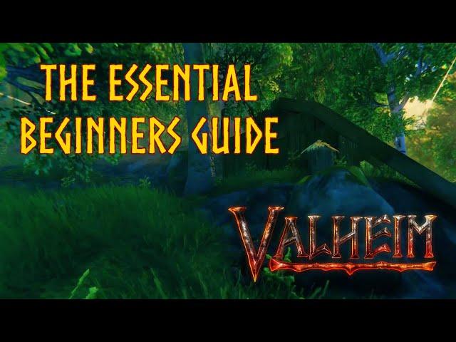 Valheim: The ULTIMATE Beginner's Guide