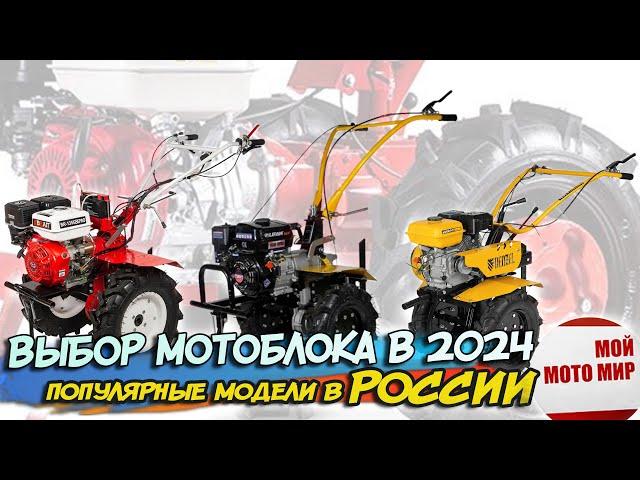 Выбор популярных мотоблоков в России 2024 году. Лучшие российские и китайские мотоблоки!