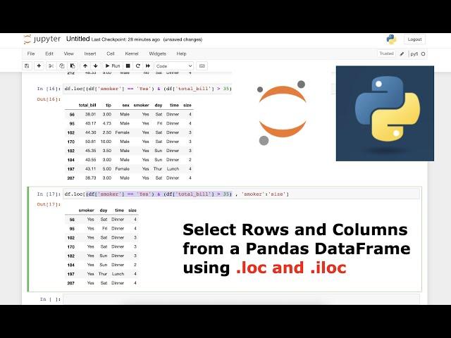 Selecting Rows and Columns from a Pandas DataFrame using .loc and .iloc