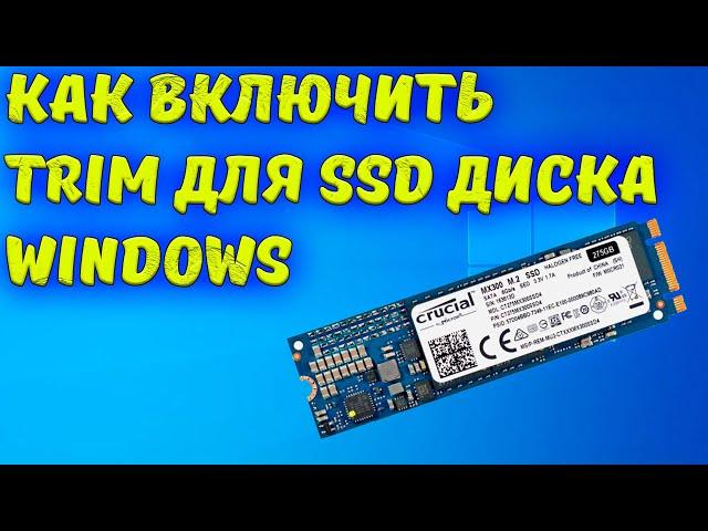 Как включить TRIM для SSD диска Windows 11/10/8/7