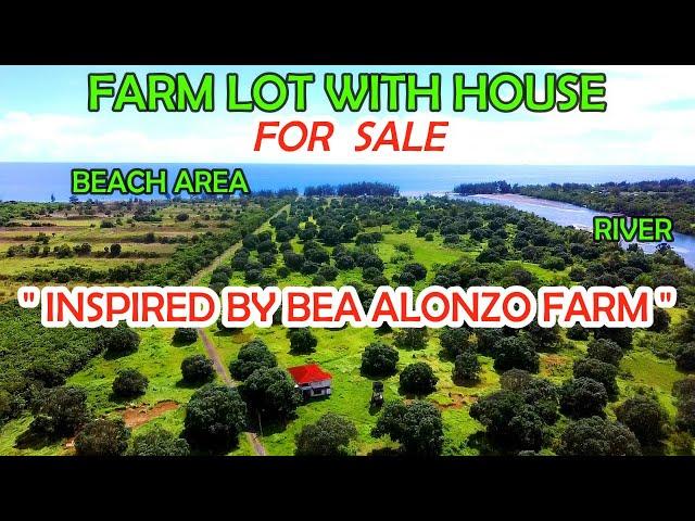 LFS 43 | FARM LOT with House and Lot and Beach for sale 2024