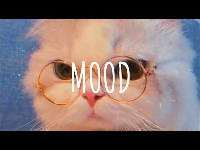 [Vietsub + Lyric] 24Kgoldn - Mood (remix) | Music Tik Tok l DUSK MUSIC ASIA