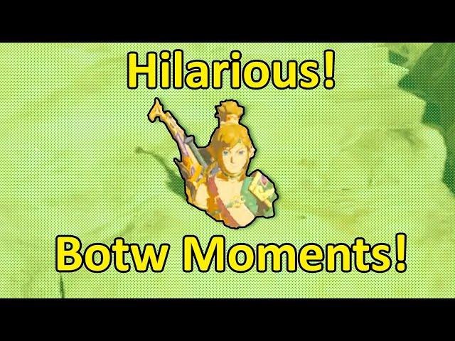 Hilarious Botw Moments